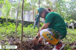 TREE_PLANTING_6